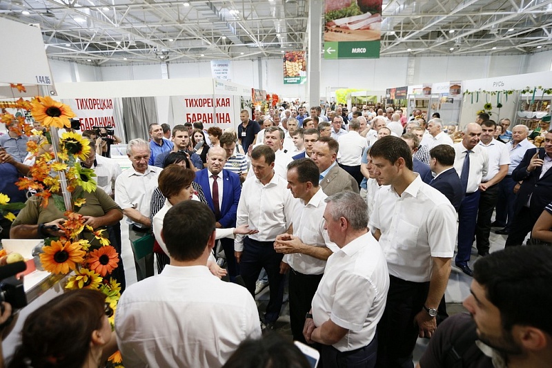  | Кондратьев: Кубанская продукция должна быть доступна каждому жителю