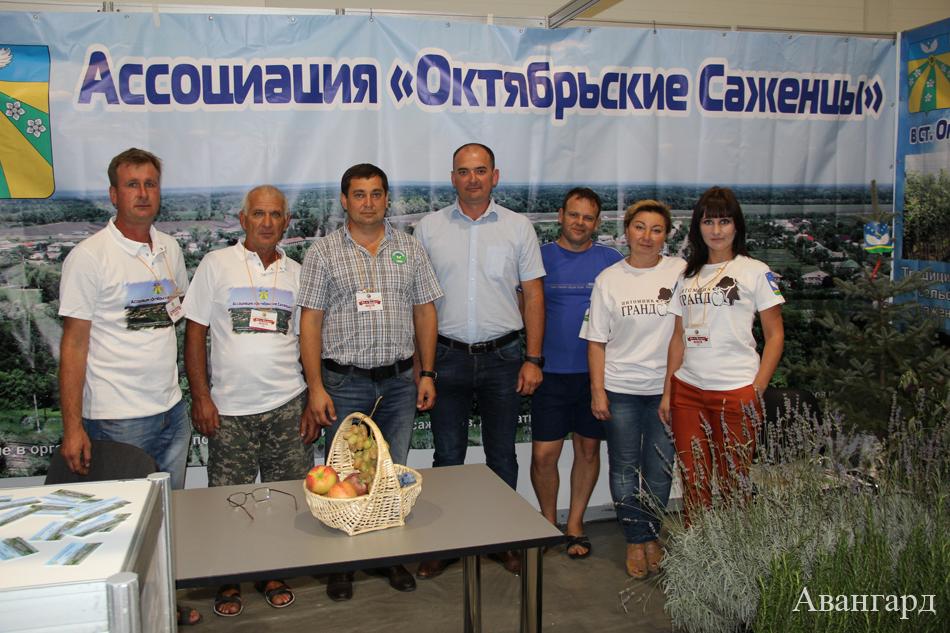  | Создание ассоциации — уверенность в будущем