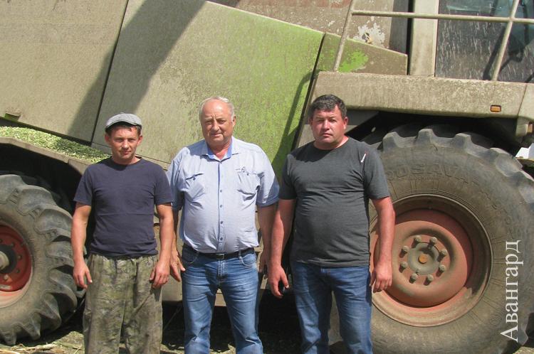 Механизатор О. Гуров, В. Гарютин и А. Бреус в ООО «Нива». | Сено заготовлено, силос забивают