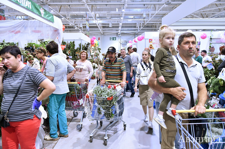 Самую лучшую продукцию покупателям представили 800 фермеров. | В Краснодаре прошла IX ежегодная выставка «Кубанская ярмарка»