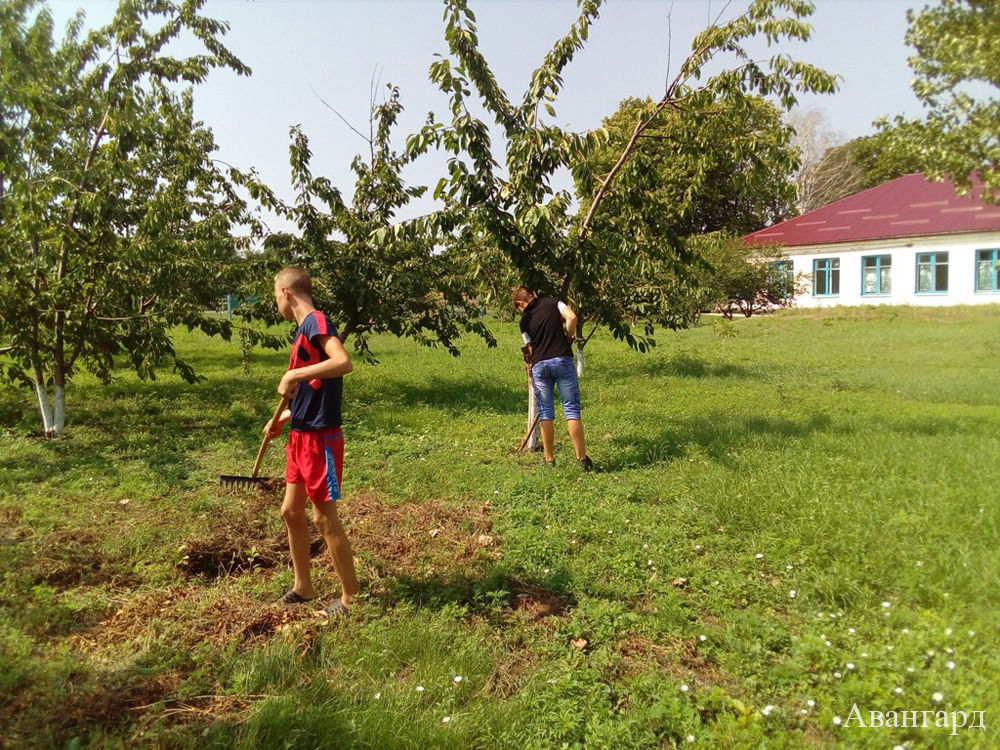Работа школьной трудовой бригады. | Поможем детям повзрослеть!